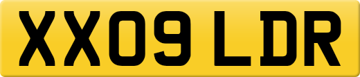 XX09LDR
