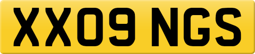XX09NGS