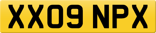 XX09NPX