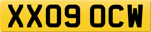 XX09OCW