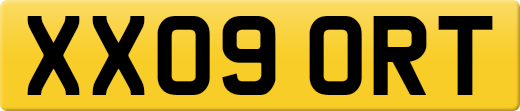 XX09ORT