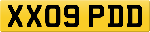 XX09PDD