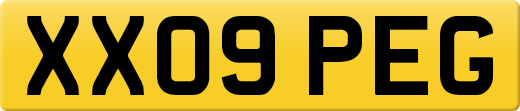 XX09PEG
