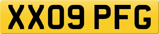 XX09PFG