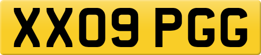XX09PGG