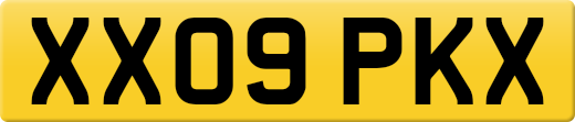 XX09PKX