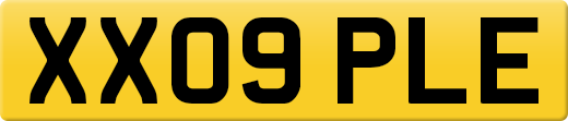 XX09PLE