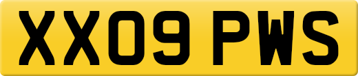 XX09PWS