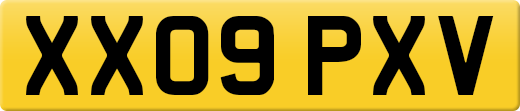 XX09PXV