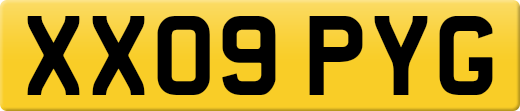 XX09PYG