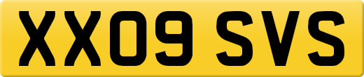 XX09SVS