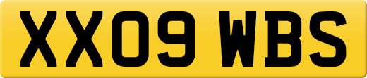 XX09WBS