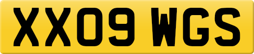 XX09WGS