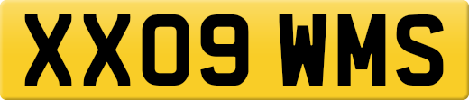 XX09WMS