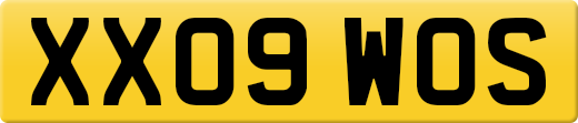 XX09WOS