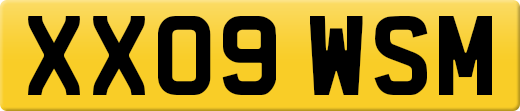XX09WSM