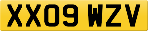 XX09WZV