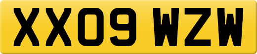 XX09WZW