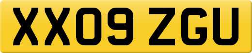 XX09ZGU