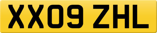 XX09ZHL