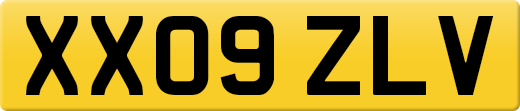 XX09ZLV