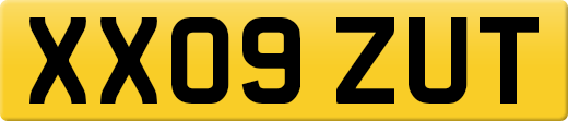 XX09ZUT