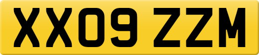XX09ZZM