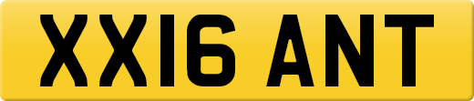 XX16ANT