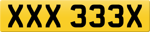 XXX333X