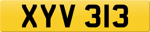 XYV313
