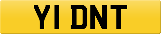 Y1DNT