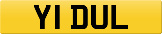 Y1DUL