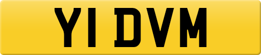 Y1DVM