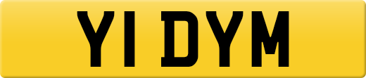 Y1DYM