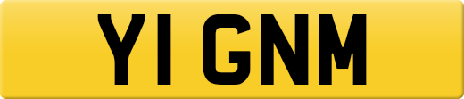 Y1GNM