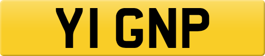 Y1GNP