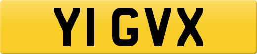 Y1GVX