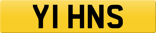 Y1HNS