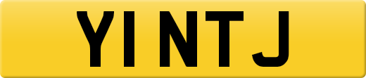 Y1NTJ