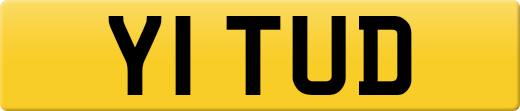 Y1TUD