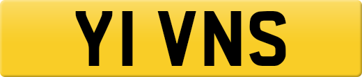 Y1VNS
