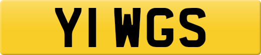 Y1WGS