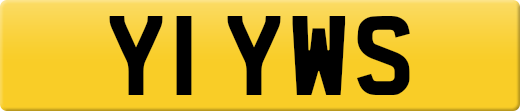 Y1YWS