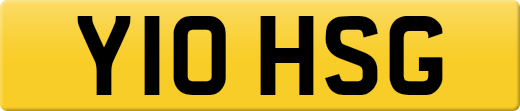 Y10HSG