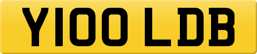 Y100LDB