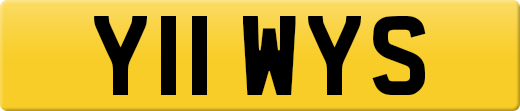 Y11WYS