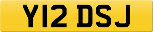 Y12DSJ