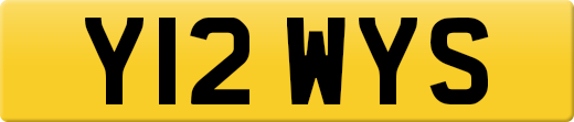 Y12WYS