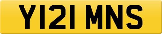Y121MNS