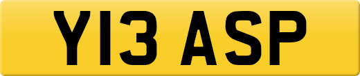 Y13ASP